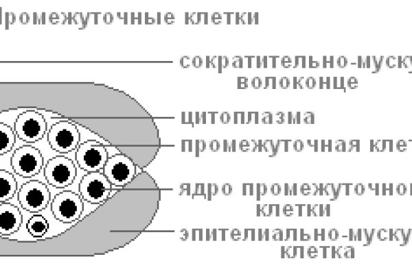 Кракен это современный маркетплейс