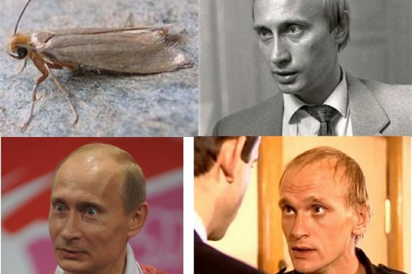Кракен 2kraken biz