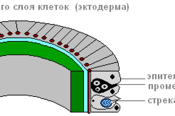 Кракен невозможно зарегистрировать пользователя